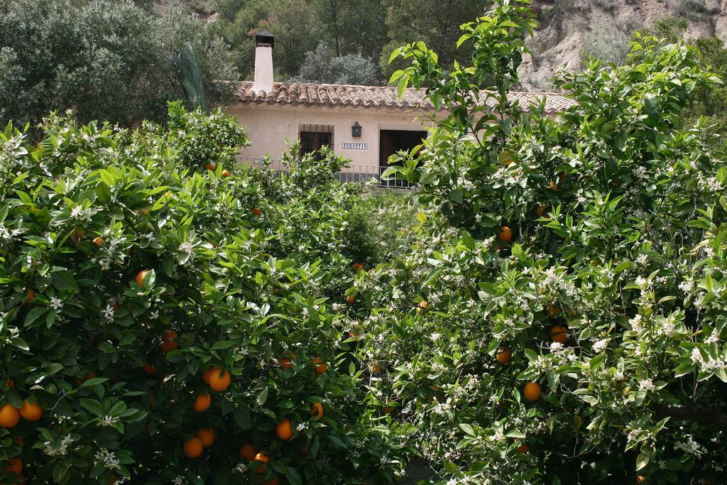 Casica De Perintin Cottage Ricote Exterior foto